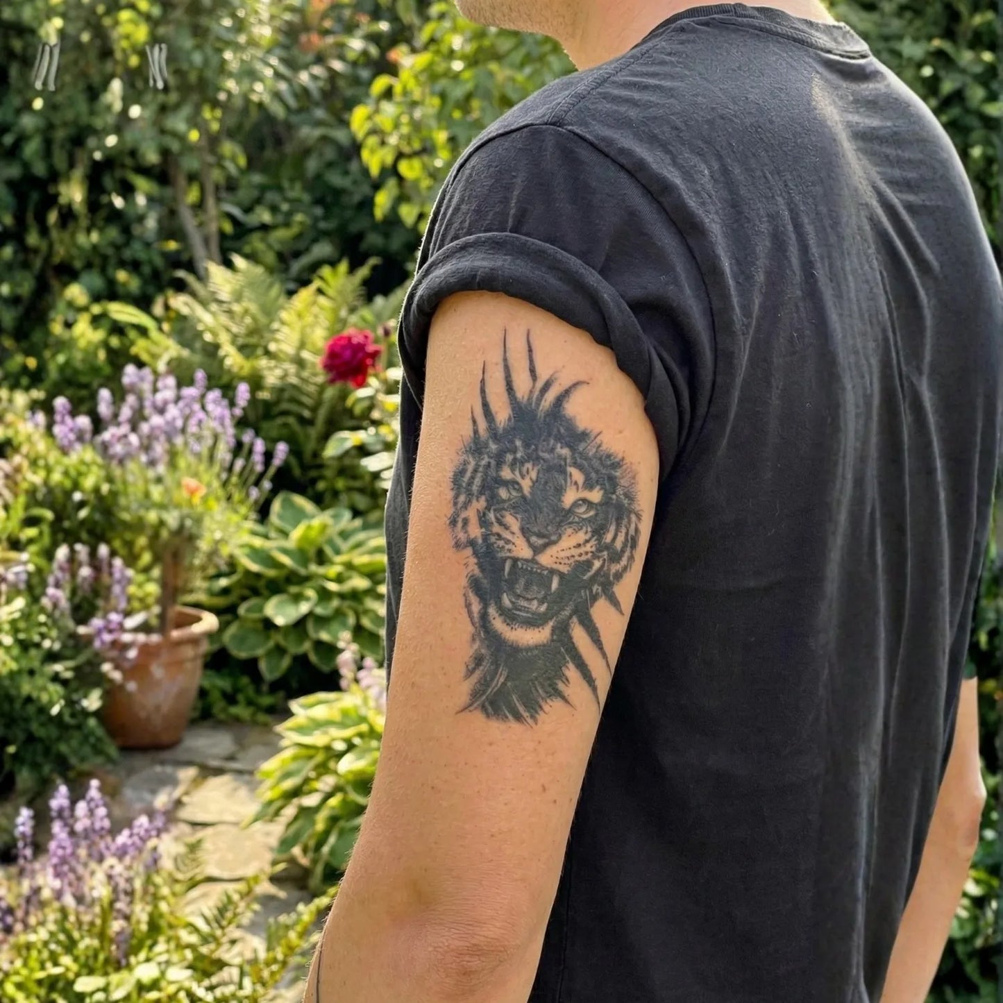 Ripped Tiger