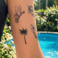Palm